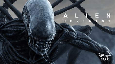 alien covenant streaming